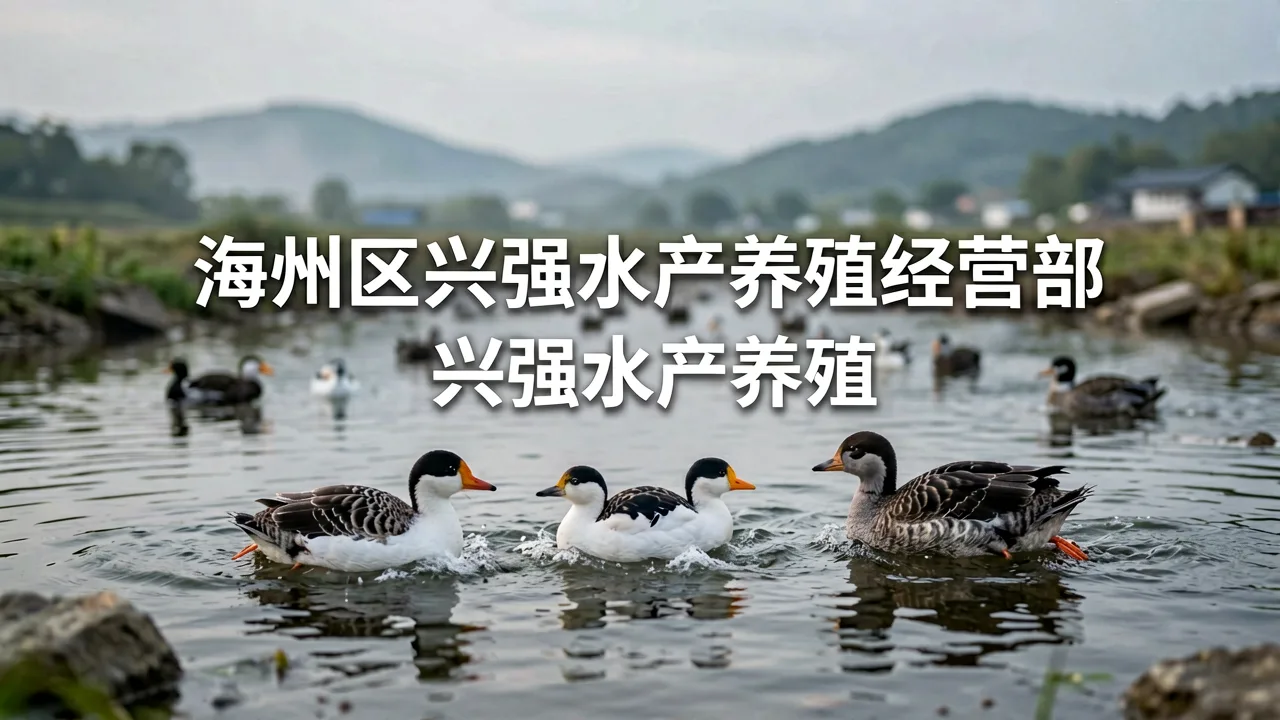 海州区兴强水产养殖经营部 主题配图